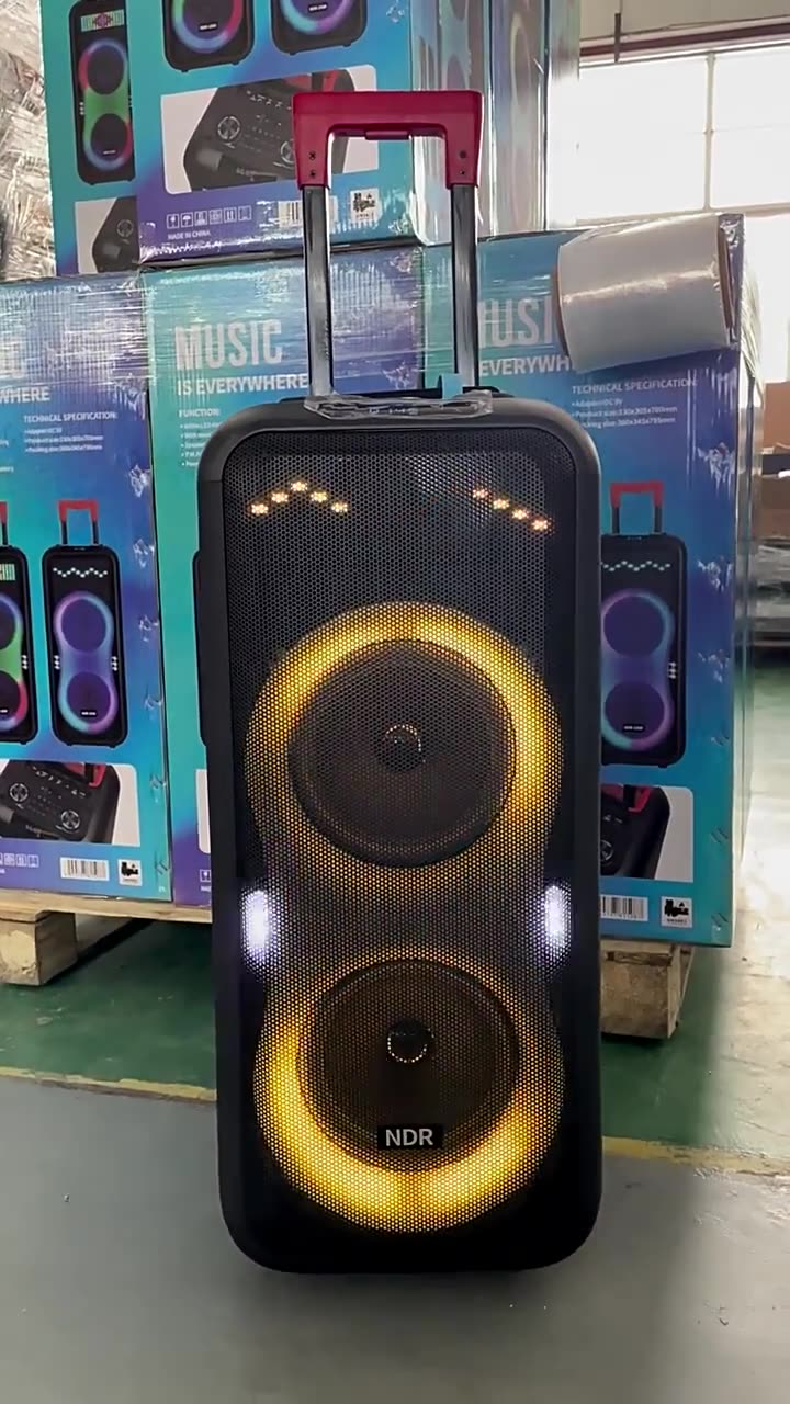 Portable More Than 5000mAh Rechargeable Subwoofer Amp with Wireless Mic - Bluetooth 5.1, AUX/TF/USB for Outdoor Party & KTV