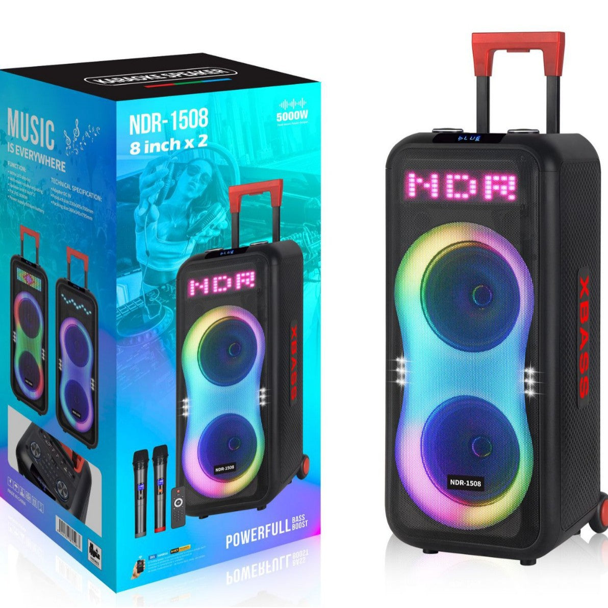 Portable More Than 5000mAh Rechargeable Subwoofer Amp with Wireless Mic - Bluetooth 5.1, AUX/TF/USB for Outdoor Party & KTV