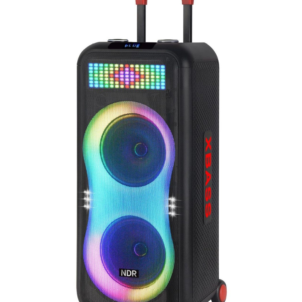 Portable More Than 5000mAh Rechargeable Subwoofer Amp with Wireless Mic - Bluetooth 5.1, AUX/TF/USB for Outdoor Party & KTV