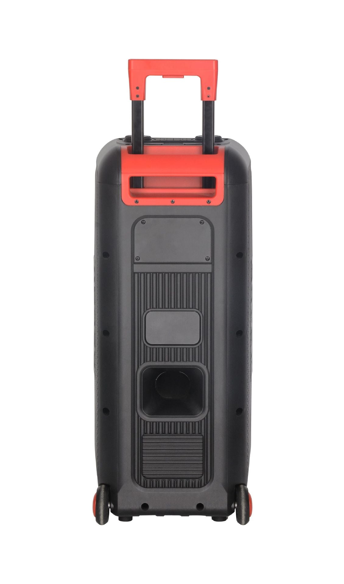 Portable More Than 5000mAh Rechargeable Subwoofer Amp with Wireless Mic - Bluetooth 5.1, AUX/TF/USB for Outdoor Party & KTV