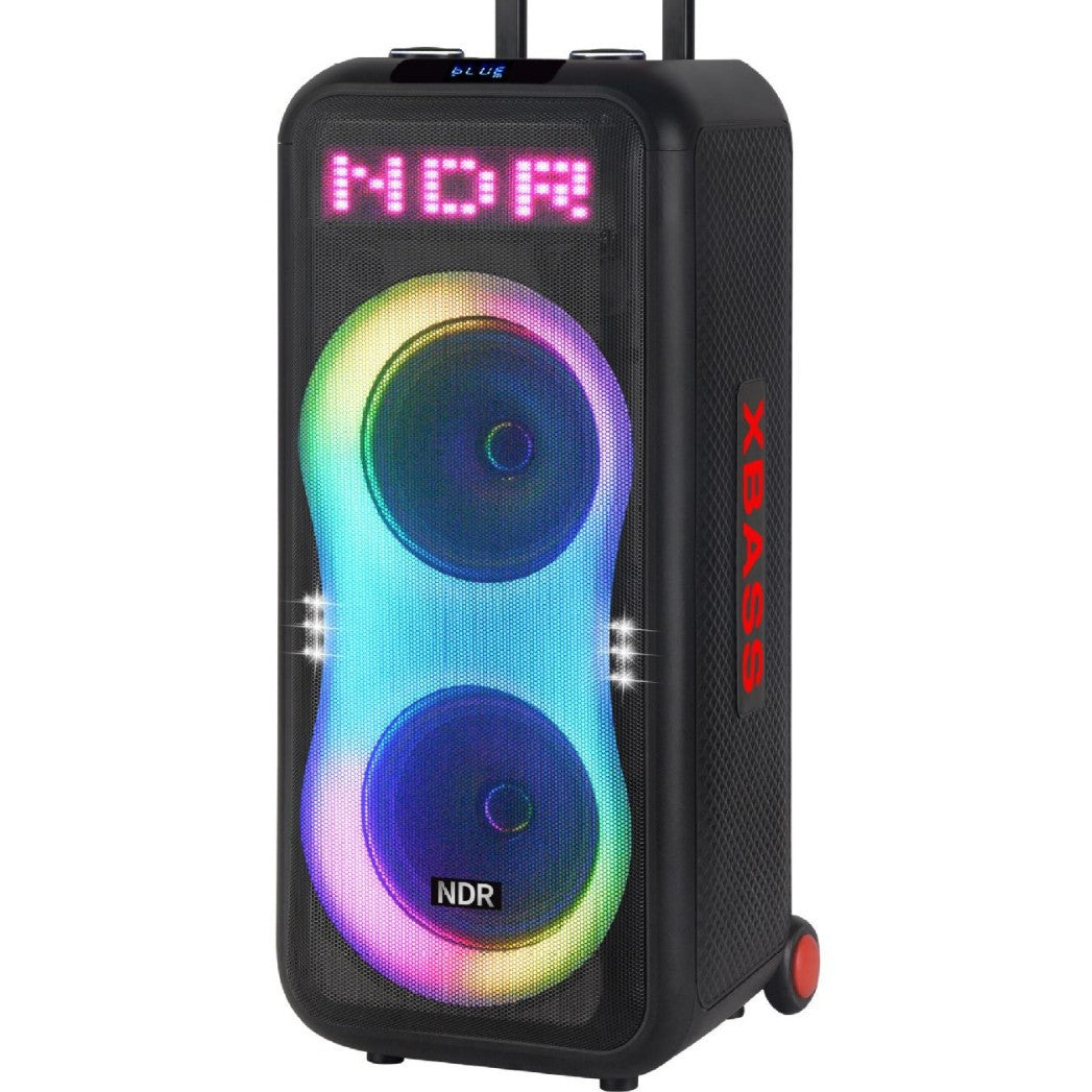 Portable More Than 5000mAh Rechargeable Subwoofer Amp with Wireless Mic - Bluetooth 5.1, AUX/TF/USB for Outdoor Party & KTV