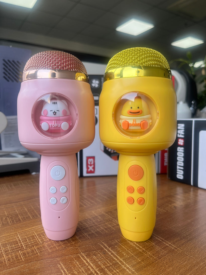 Melody Maestro: Educational Kids Microphone for Speech & Singing