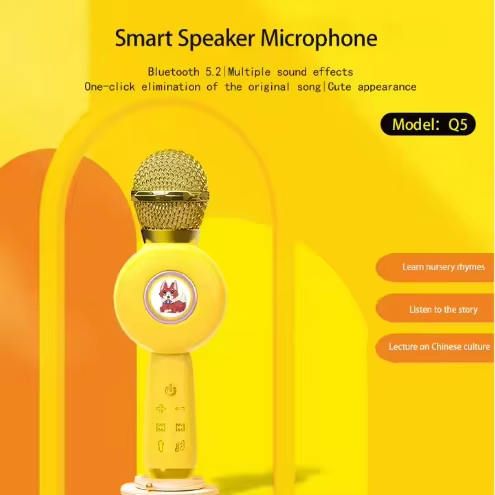 Melody Maestro: Educational Kids Microphone for Speech & Singing