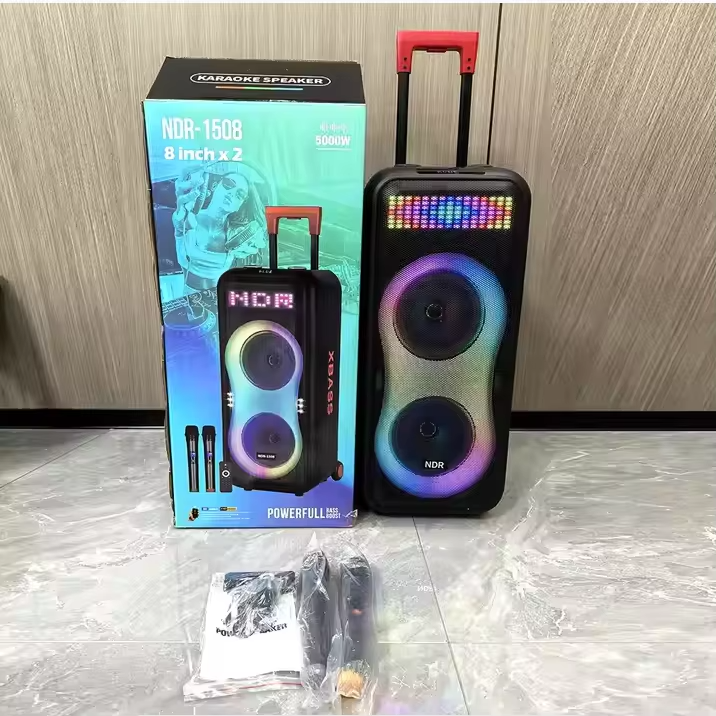 Portable More Than 5000mAh Rechargeable Subwoofer Amp with Wireless Mic - Bluetooth 5.1, AUX/TF/USB for Outdoor Party & KTV
