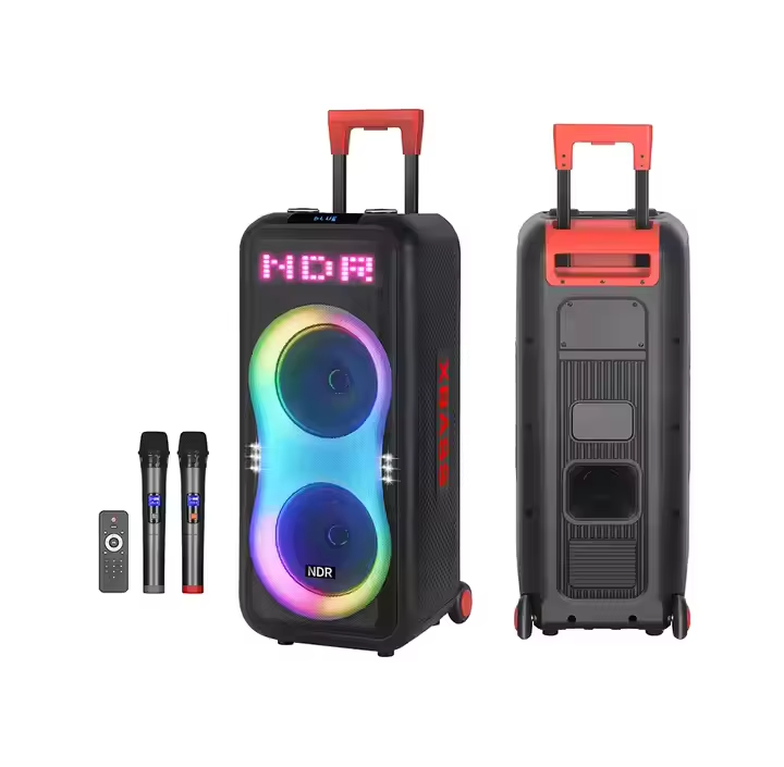 Portable More Than 5000mAh Rechargeable Subwoofer Amp with Wireless Mic - Bluetooth 5.1, AUX/TF/USB for Outdoor Party & KTV