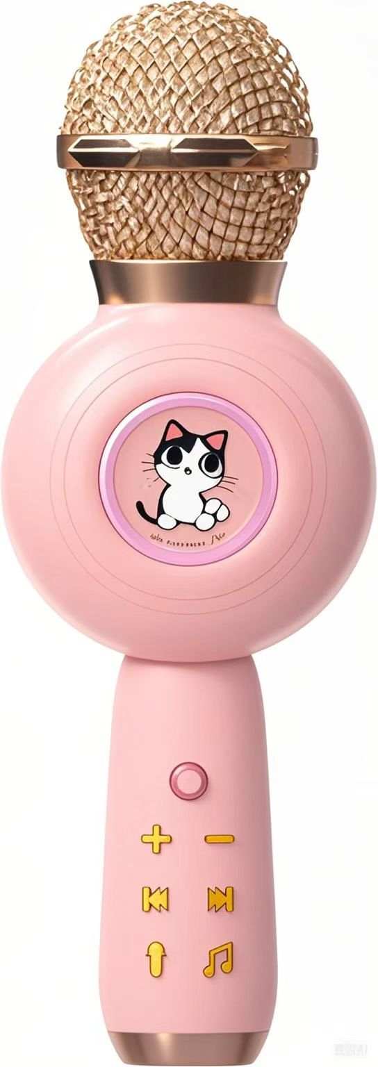 Melody Maestro: Educational Kids Microphone for Speech & Singing