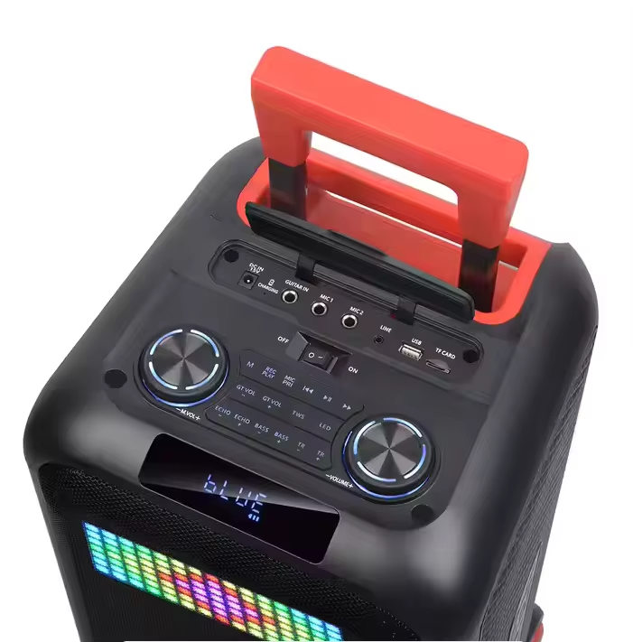 Portable More Than 5000mAh Rechargeable Subwoofer Amp with Wireless Mic - Bluetooth 5.1, AUX/TF/USB for Outdoor Party & KTV