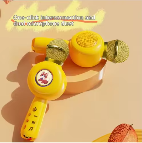 Melody Maestro: Educational Kids Microphone for Speech & Singing