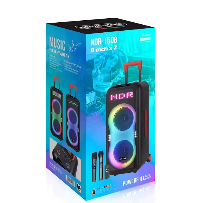 Portable More Than 5000mAh Rechargeable Subwoofer Amp with Wireless Mic - Bluetooth 5.1, AUX/TF/USB for Outdoor Party & KTV